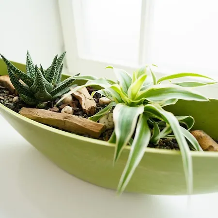 酒店 Wilder Mann 梅尔斯堡