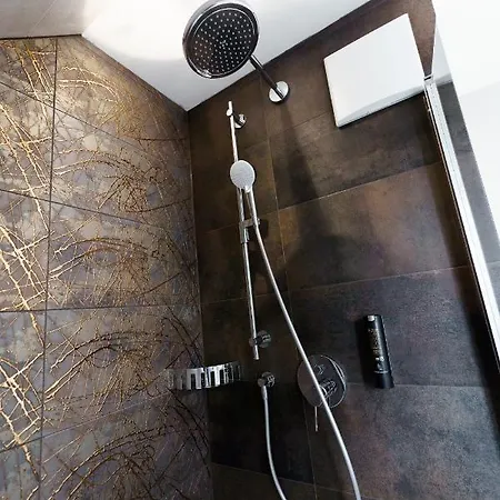 Wilder Mann 酒店 4*