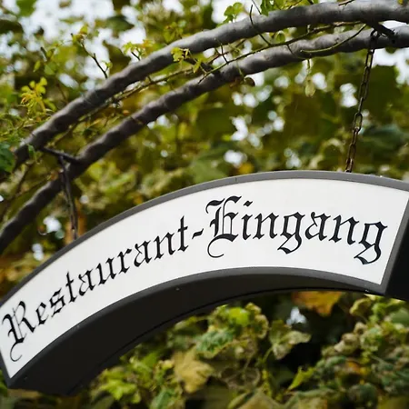 Wilder Mann Meersburg