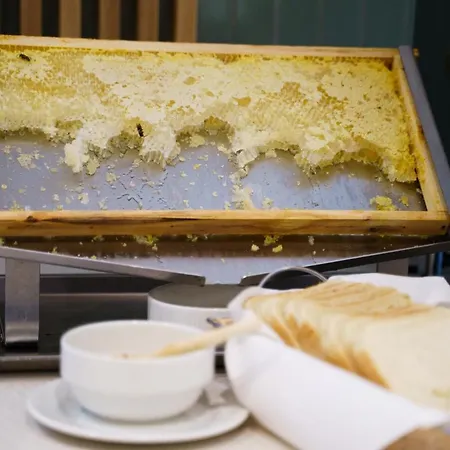 Wilder Mann 酒店 4*