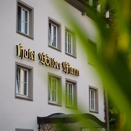 Hotel Wilder Mann Meersburg