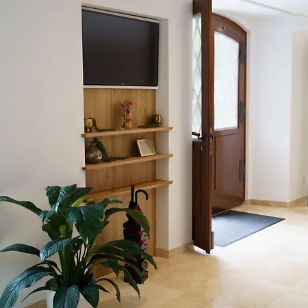 Wilder Mann Hotel 4*