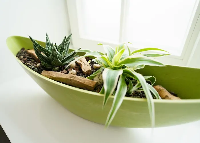 Hotel Wilder Mann Meersburg