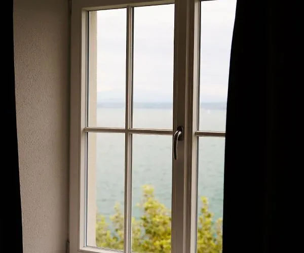 Wilder Mann Meersburg