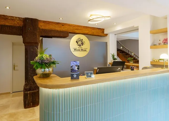 Wilder Mann Meersburg