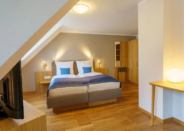 Wilder Mann Hotel 4*